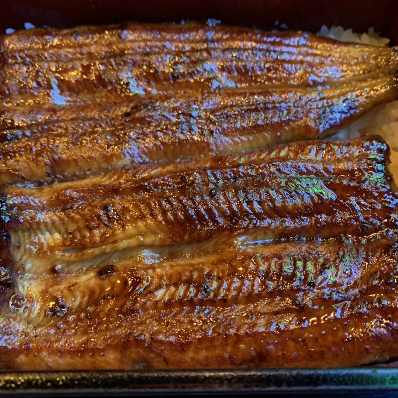 うな重／松(阿づ満や)