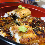 特製 日本一の鰻の二色丼(うなぎ処さいしょ)