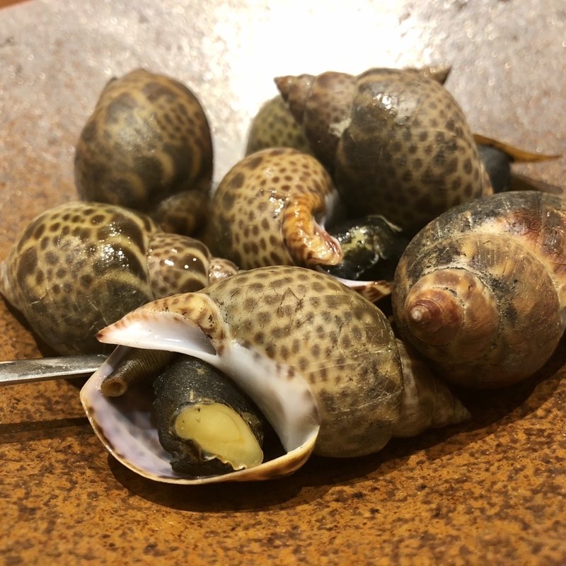 つぶ貝(和創居酒屋 辰家 （わそういざかや たつや）)