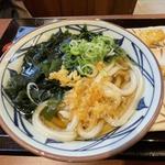 わかめ　うどん(並)(丸亀製麺　横須賀野比店)