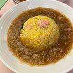 フカヒレあんかけチャーハン(菩提樹 （ボダイジュ）)