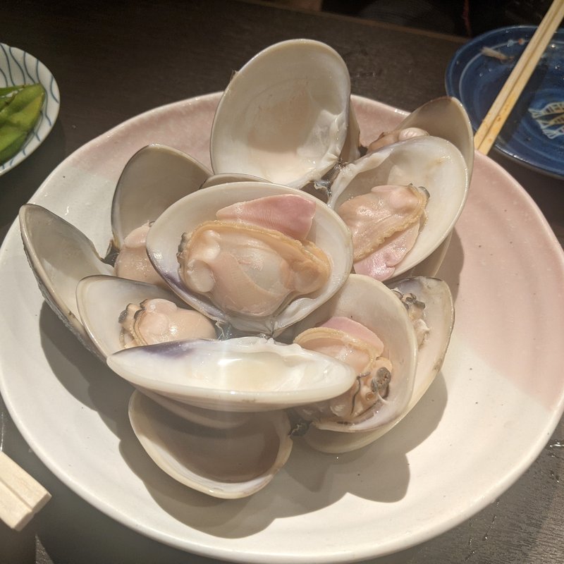 ハマグリ(川治)