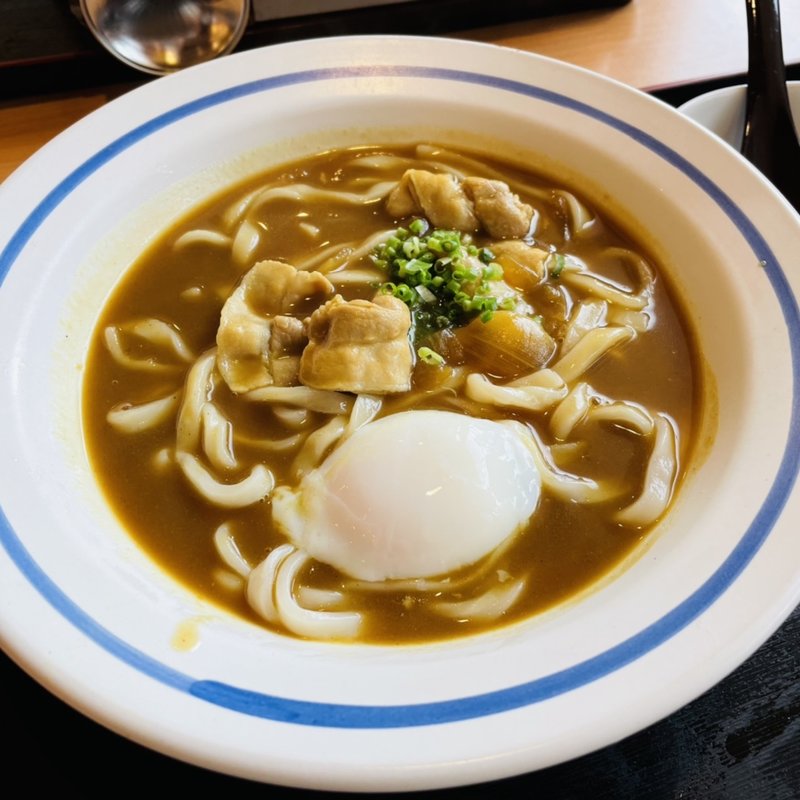 カレーうどん(夢庵 大網白里店)