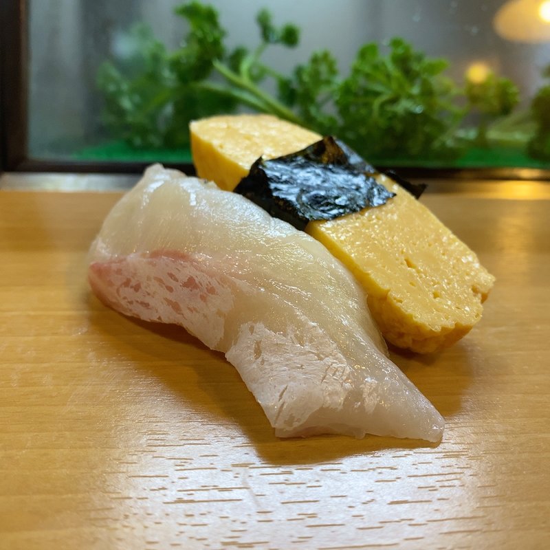 白身、たまご(桂寿し )