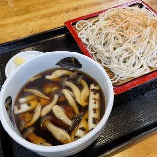 つけ鴨蕎麦(きそば 柏屋 （かしわや）)