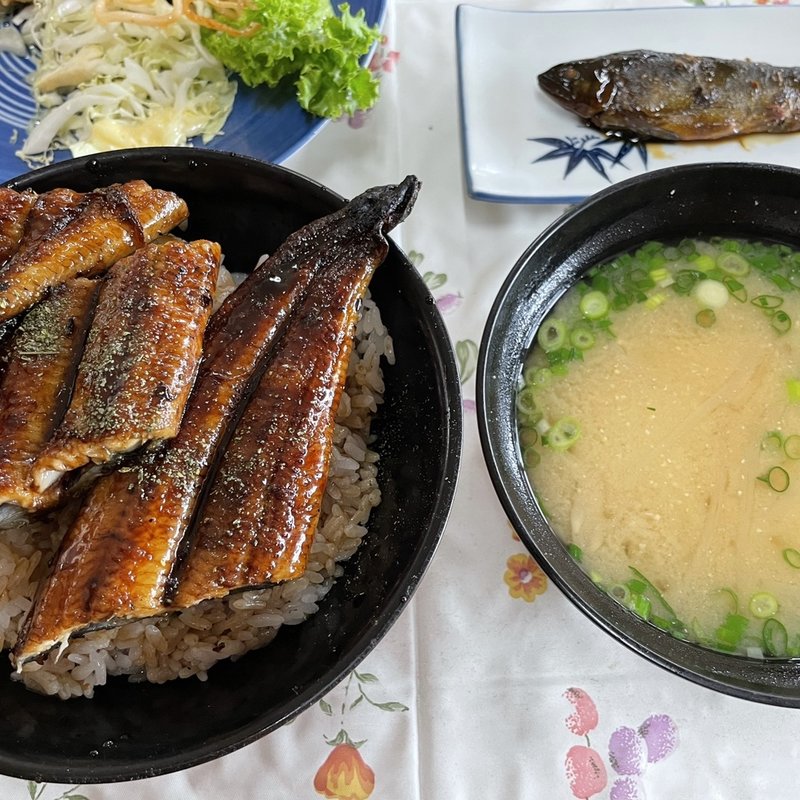 うな丼(田代ドライブイン )