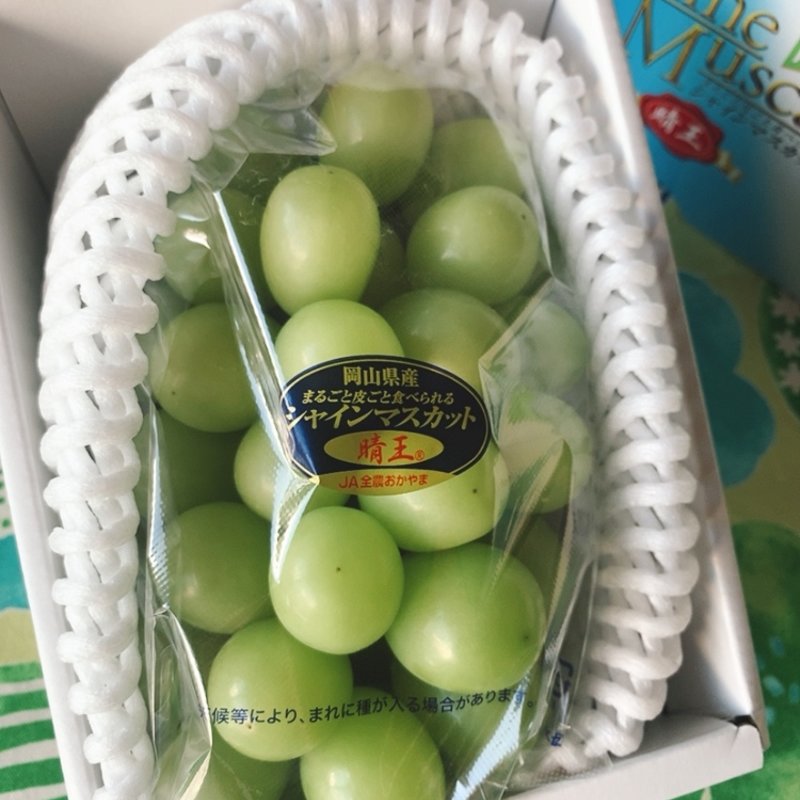 シャインマスカット　晴王(岡山県　JA)