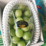 シャインマスカット　晴王(岡山県　JA)