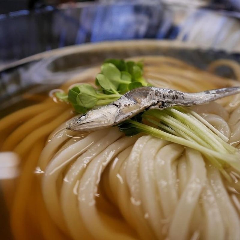 スダチひやかけ(手打ちうどん 紅屋)