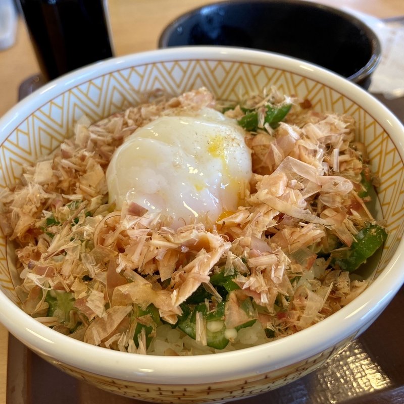 鮭のっけ定食(すき家 博多BP店 )