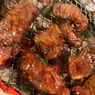 (七輪坂井)