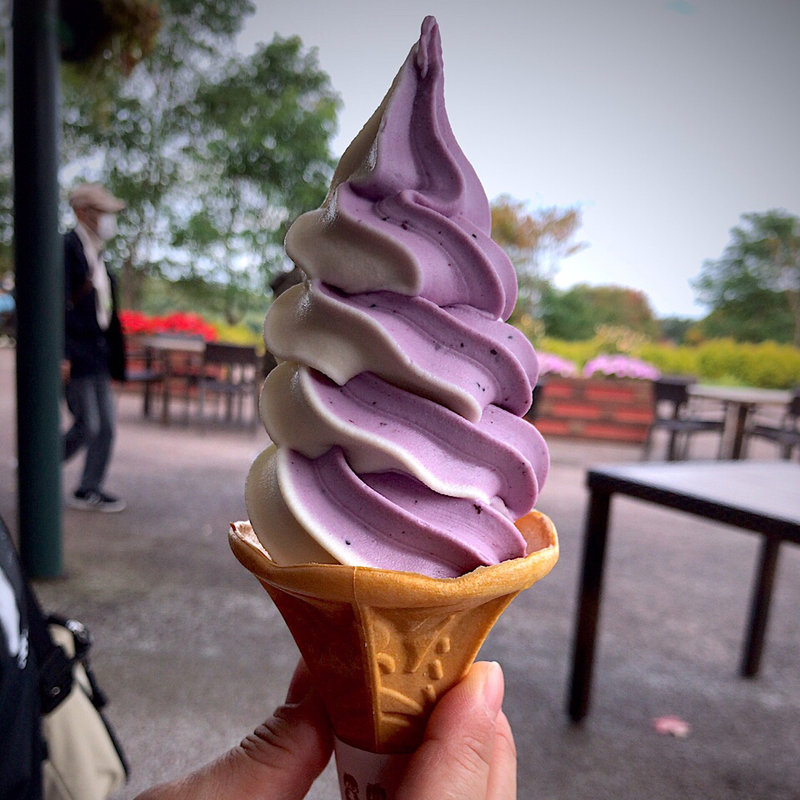 ブルーベリー＆バニラ ミックスソフトクリーム(ゆにガーデン)