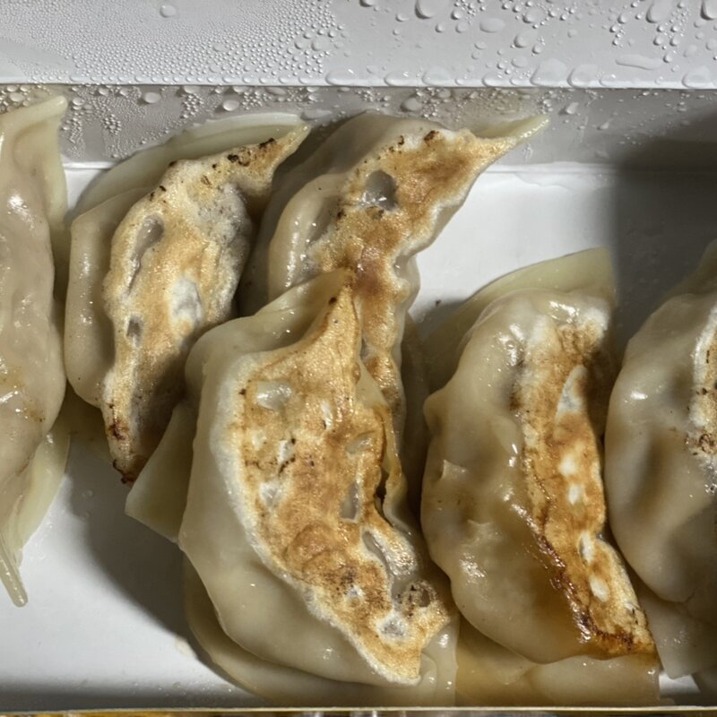 タイガー餃子(タイガー餃子 河原町店 )