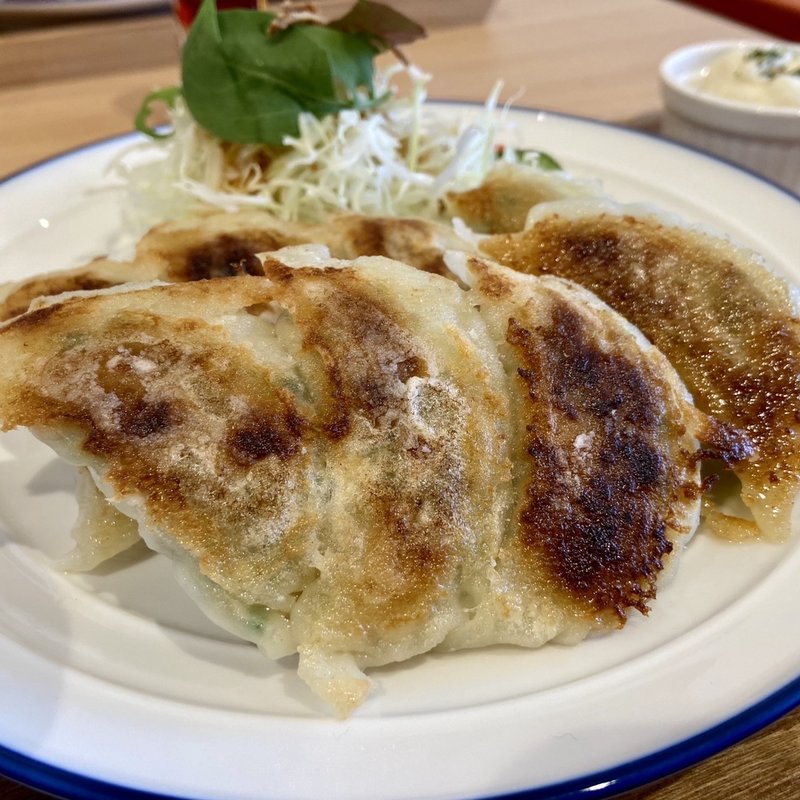 博多たね屋定食(博多餃子工房たね屋)