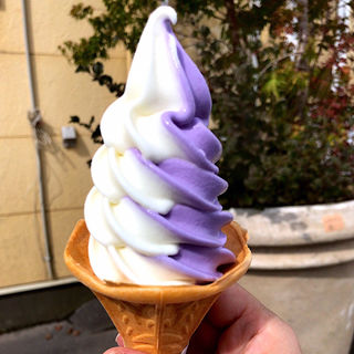 ソフトクリーム(ラベンダーミックス)(四季彩の丘 売店 )