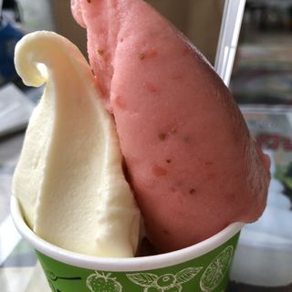 カップ(ダブル)(ナチュリノ （Natu-Lino）)