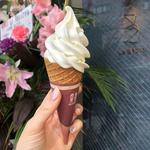 北海道おこっぺミルクソフトクリーム