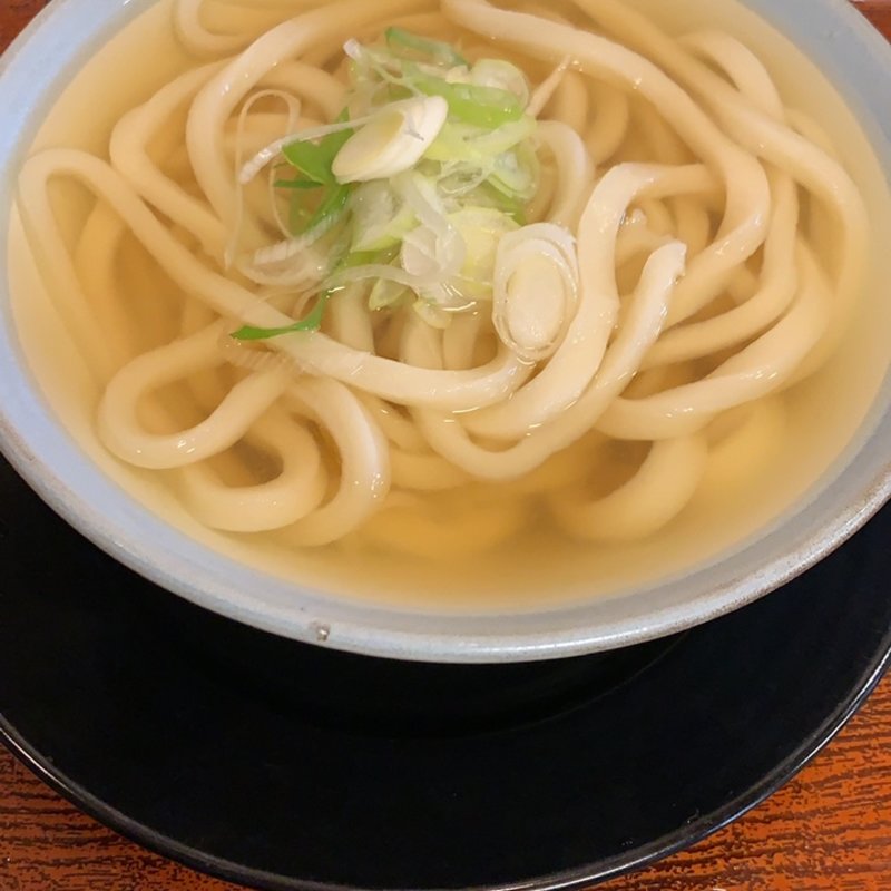 かけうどん(いわしや )