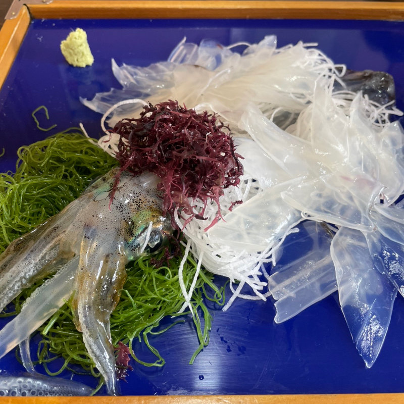 いかの活き造り(お魚処 玄海 （おさかなどころ げんかい）)