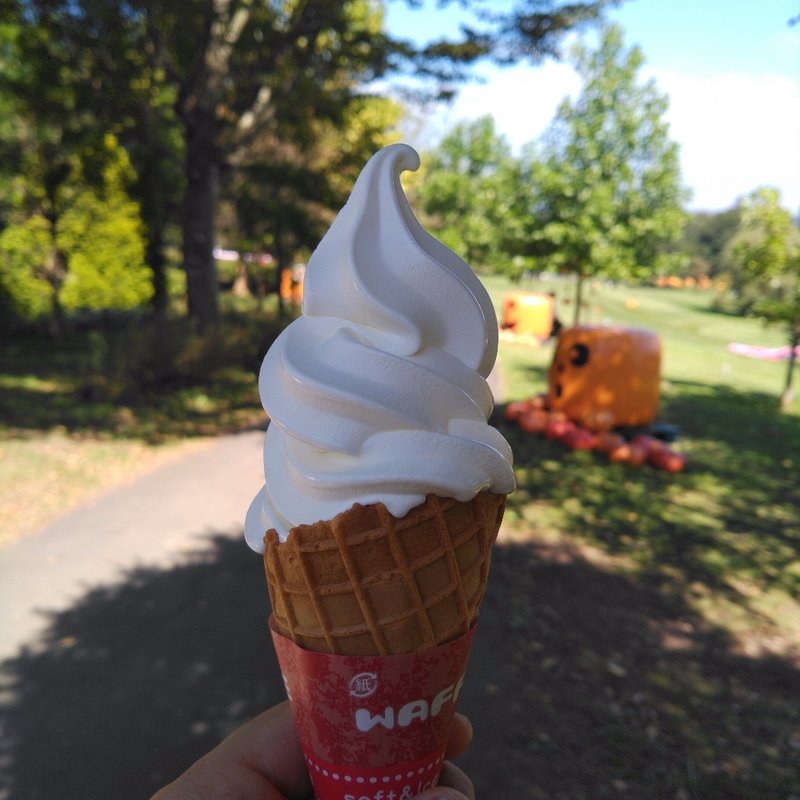 のうこうソフト(カフェ&フード フォーリア)