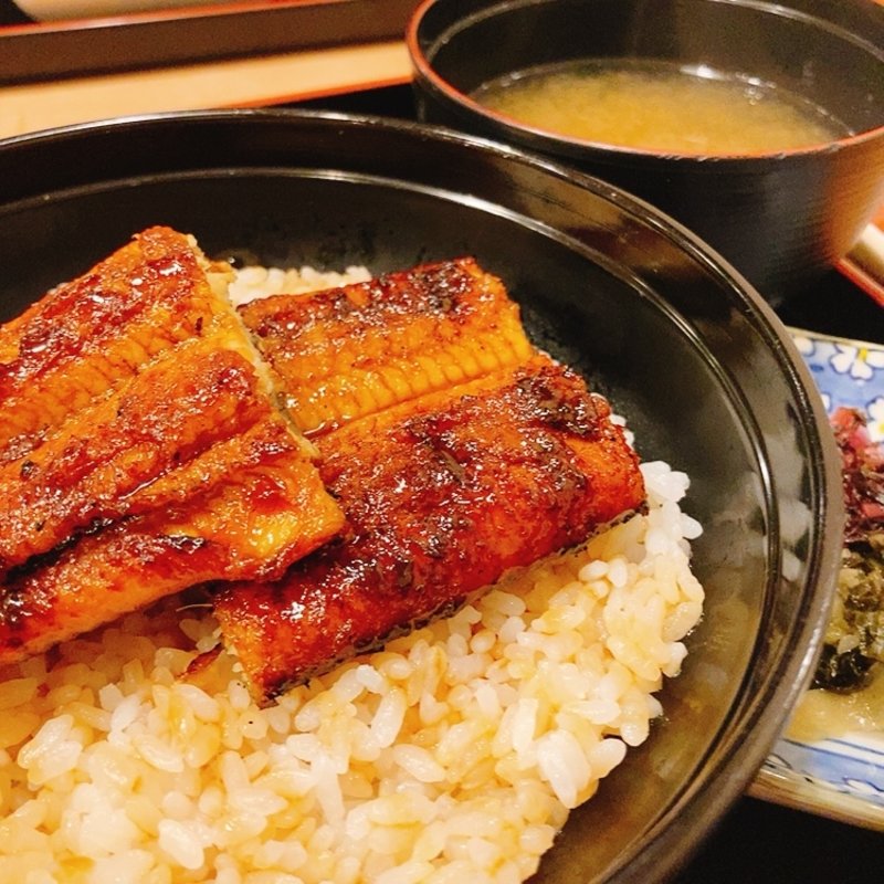 うなぎ丼・中(若みや )
