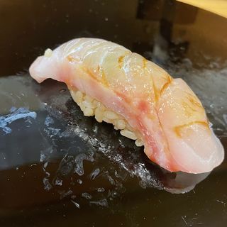 笛鯛(豊鮨)