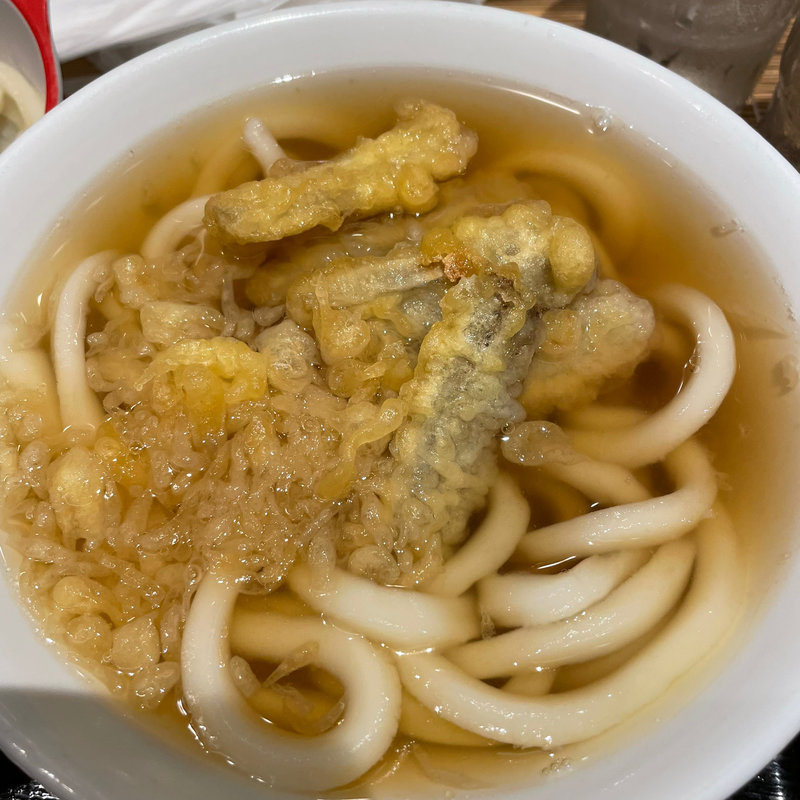 ごぼう天うどん(大福うどん えきちか店)