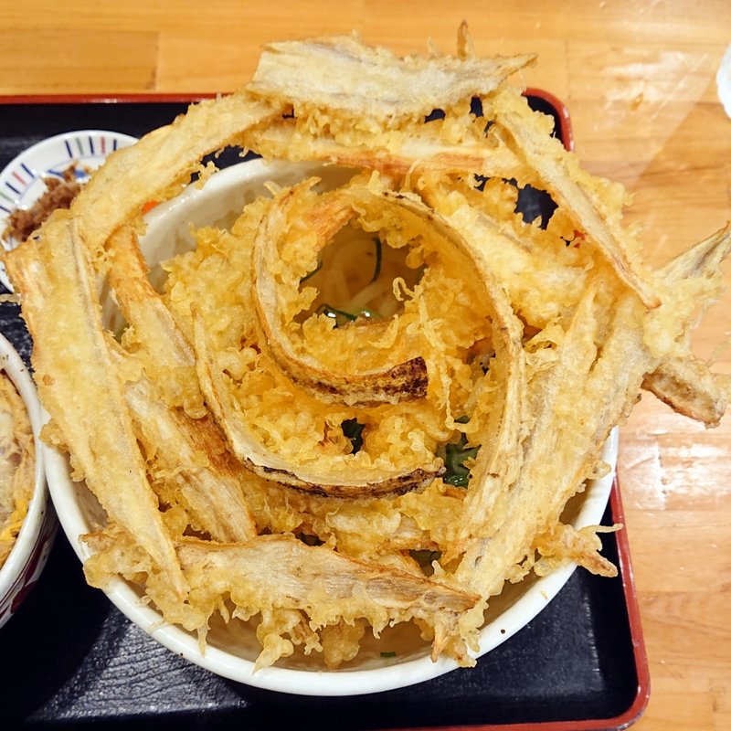 ごぼう天うどん(うどん高浜や)