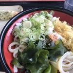 冷やしたぬきうどん(高柳屋 )