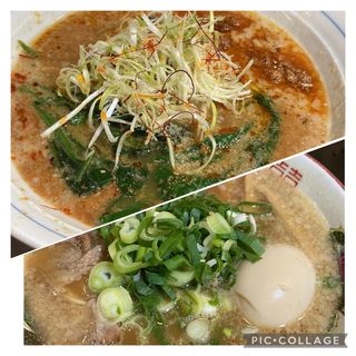 担々麺(ますたに 京都拉麺小路店 )