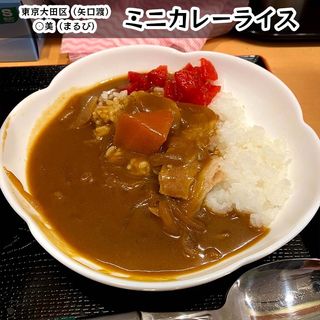 ミニカレー(そば・うどん自家製麺 ○美)