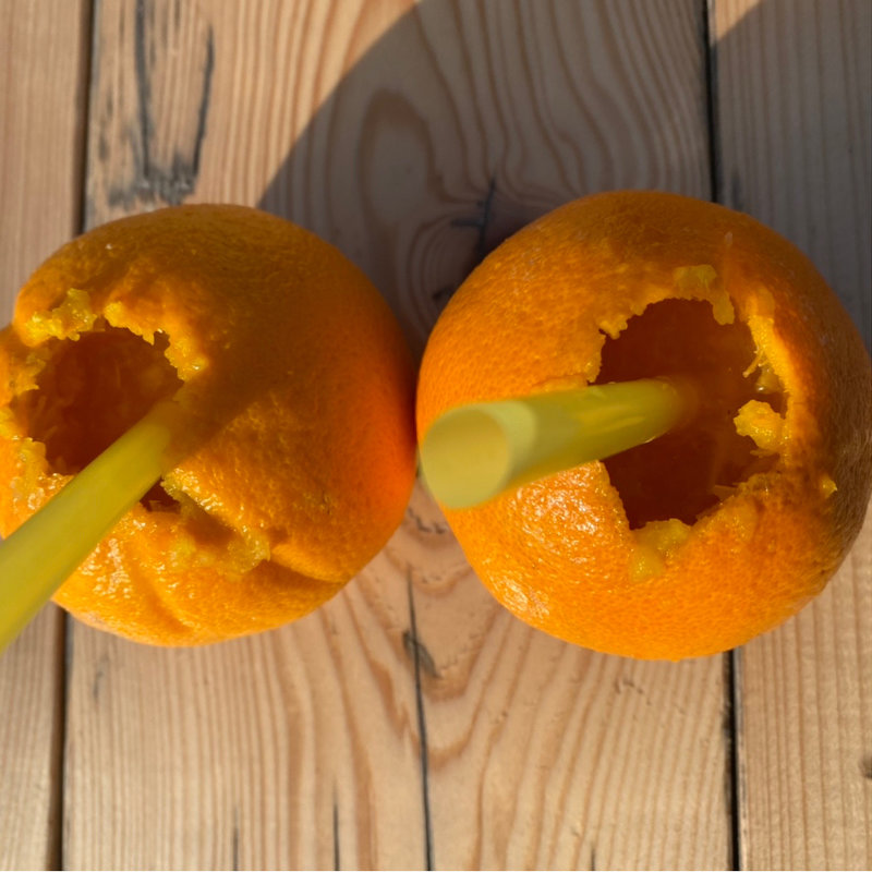 まるごとオレンジジュース(淡路シェフガーデン)