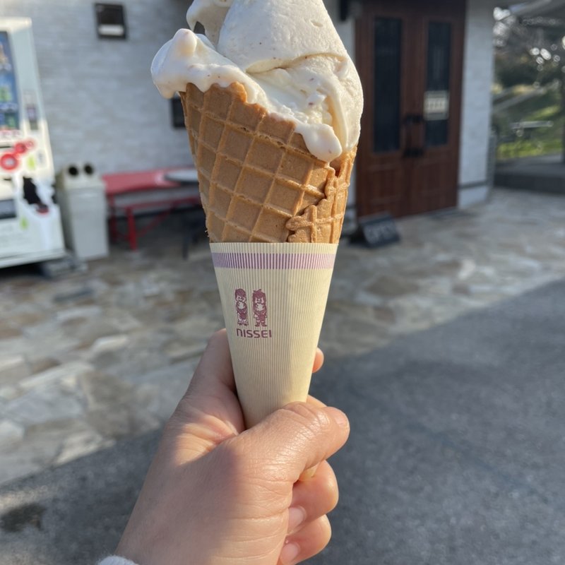 ピーナッツとキャラメルナッツのアイス(高秀牧場 チーズ工房 )