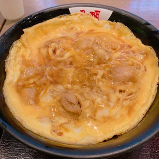 鶏カツ丼(親子丼 TORIKAI EXPRESS ダイバーシティ東京店)