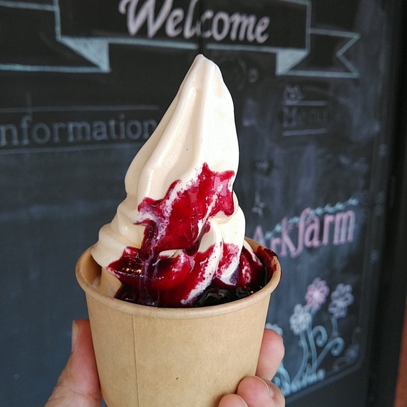 ブルーベリーソフト(館ヶ森アーク　ウェルカムハウス木の実)