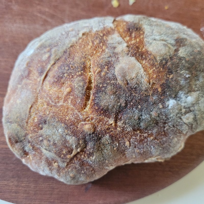 リュスティック(mbs46.7 )