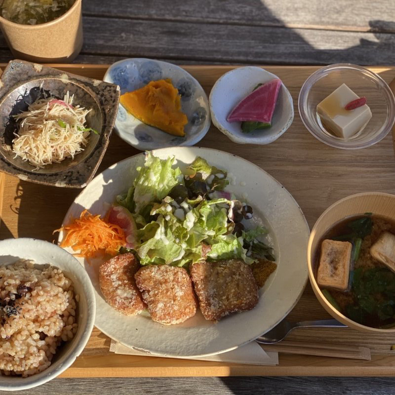 季節のプレート(有機大豆ミートの唐揚げ)(BROWN RiCE AND WATER)