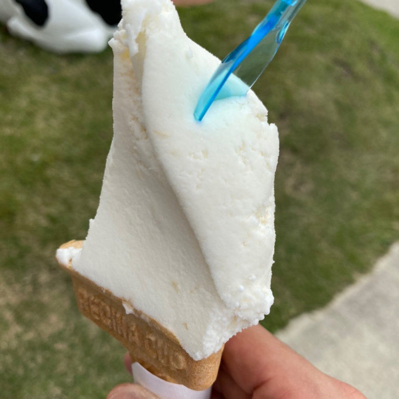 落花生ミルク(かわばジェラート)