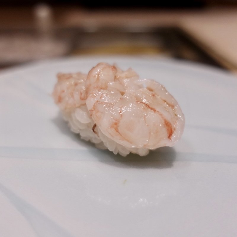 牡丹海老(鮨処 有馬)