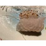 鯵のたたき(たけつら 四季素材 )