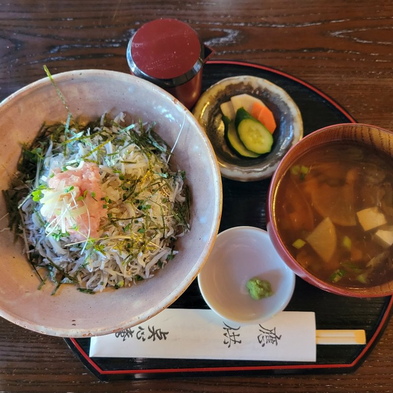 湘南しらすと三崎まぐろネギトロのニ色丼

建長汁セット(点心庵)