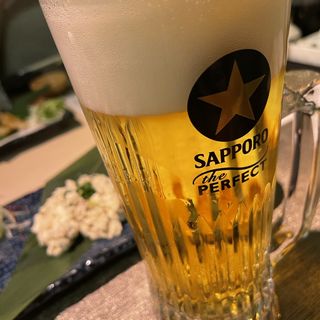 生ビール(上物天然海鮮 カツオ)