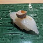 カワハギ