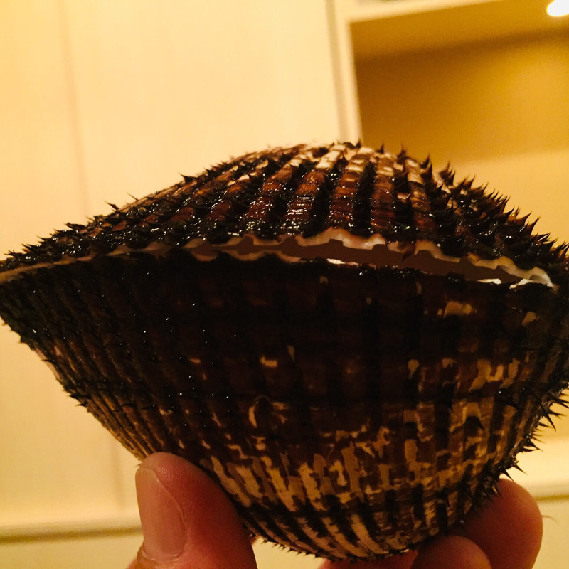 淡路産巨大赤貝(料理 澤)