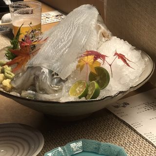 イカの造り(九州の旬 博多廊 法善寺店)