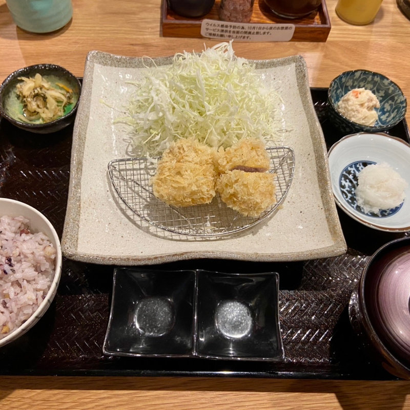 ランチヒレカツ定食(とんかつ わか葉)