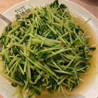 豆苗炒め(景徳鎮 本店)