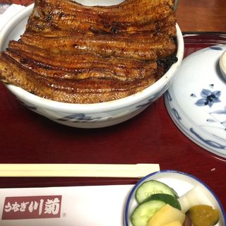 鰻丼(川菊)
