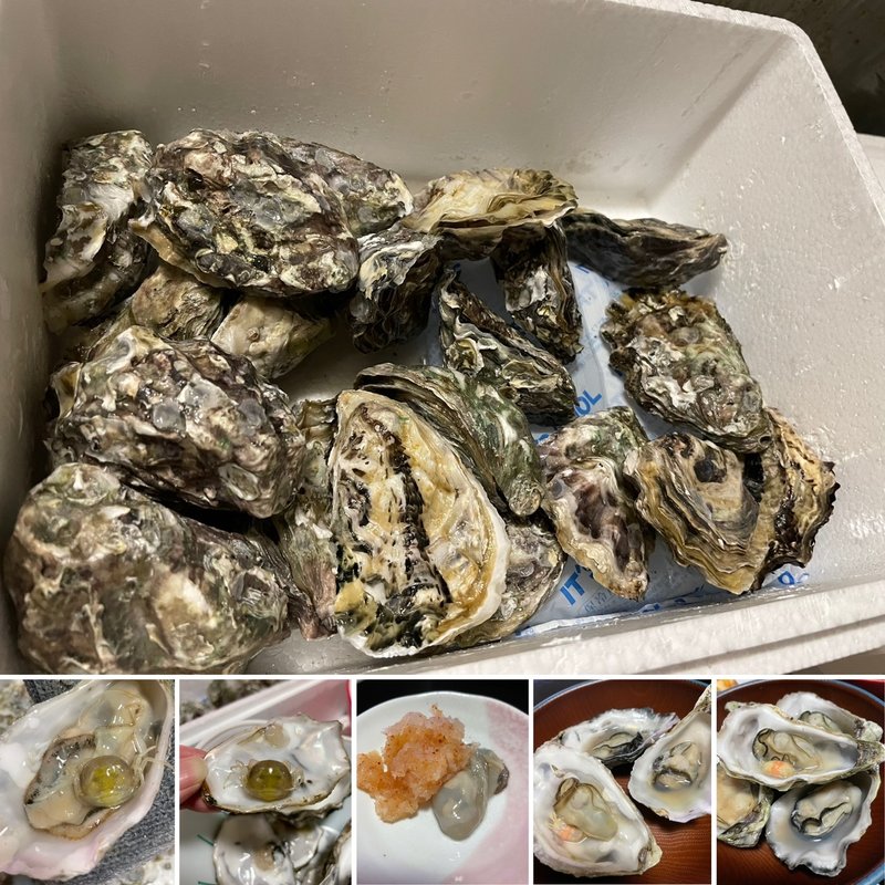 牡蠣(自宅)