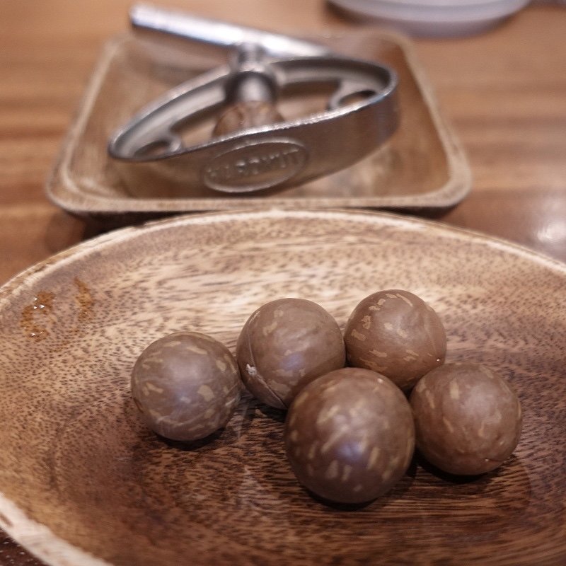 OZ産殻付きマカダミアナッツ(グランズー(GRAN ZOO))